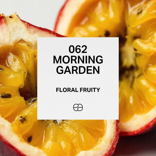 062 - Morning Garden
