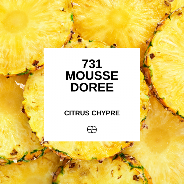 731- MOUSSE DOREE