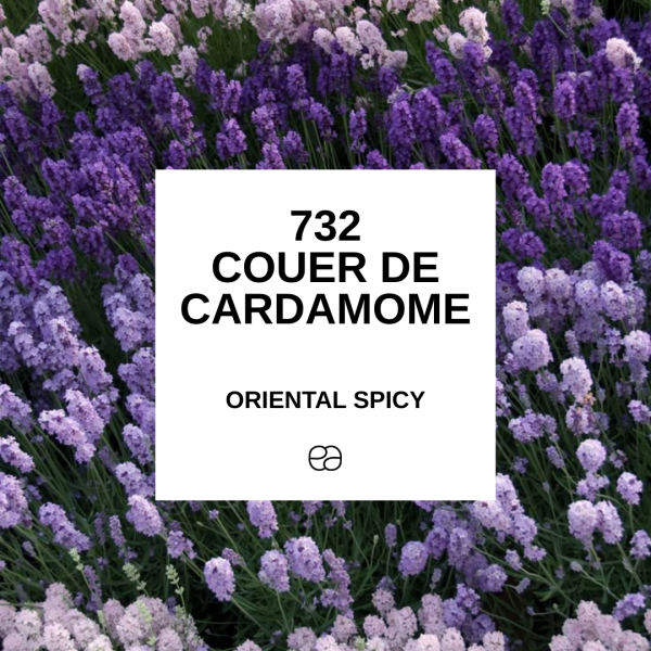 732 - COEUR DE CARDAMOME